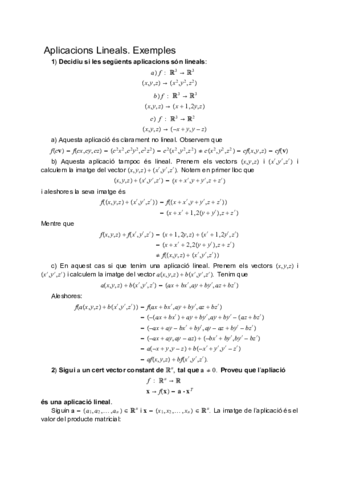 AplicacionsLinealsEx.pdf