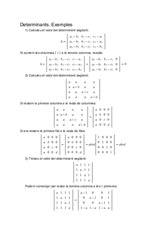 DeterminantsEx.pdf