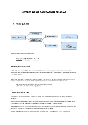 Resumen-FISIO-Luis.pdf