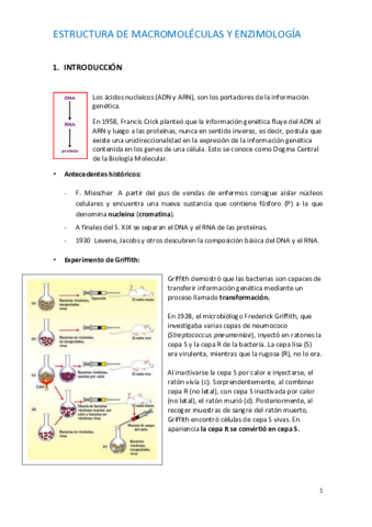 UD2-ACIDOS-NUCLEICOS-PARTE-A.pdf