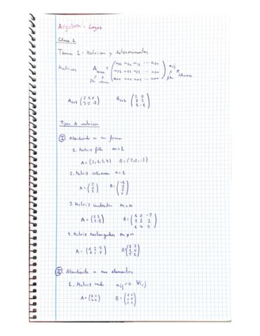 Apuntes-Tema-1-Algebra.pdf