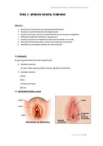 tema-1.pdf