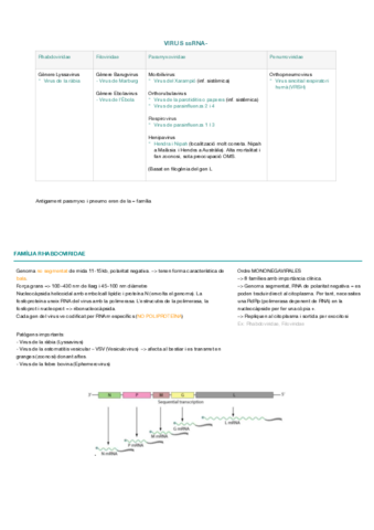 Rhabdoviridae-esquemes.pdf