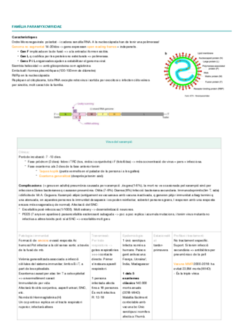 Paramyxoviridae-esquemes.pdf