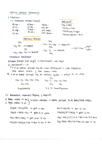 Formulacion-organica-isomeria-y-reacciones-quimicas.pdf