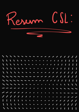 csl-apunts-imprimir.pdf