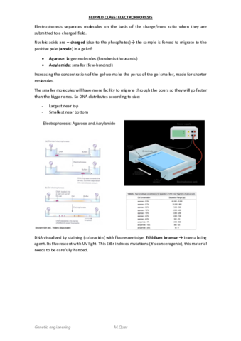 FLIPPED-CLASS-ELECTROPHORESIS.pdf