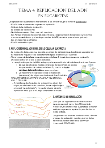 Tema-4-Replicacion-del-ADN-en-Eucariotas.pdf