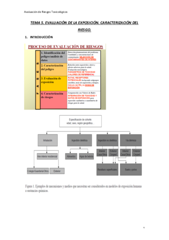 TEMA-5-av.pdf