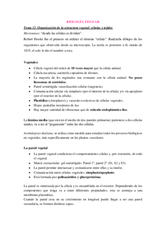 Tema-9.pdf