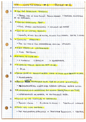 C-4-TBE-Respuestas-Cuest.pdf