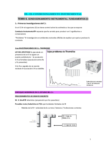 TEMA-6-fundamentos-CI.pdf