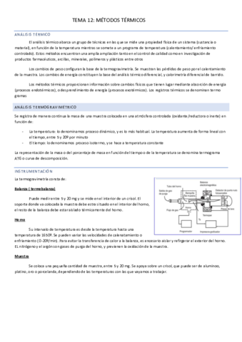 TEMA-12.pdf