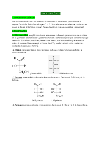 Biologia-T2.pdf