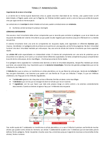 Tema-17.pdf