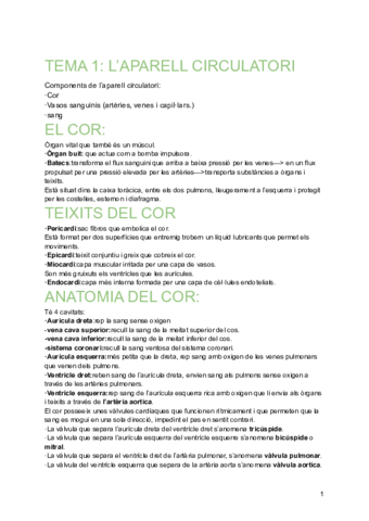 Tecniques-basiques-dinfermeria-T1-LAPARELL-CIRCULATORI.pdf