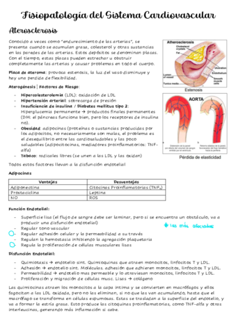 Tema-3-Fisiopatologia-del-Sistema-Cardiovascular.pdf