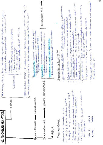 Todos-los-esquemas-de-biologia-2.pdf