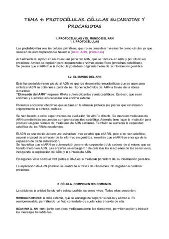 T4Protocelulas-Celulas-Procariotas-y-Eucariotas.pdf
