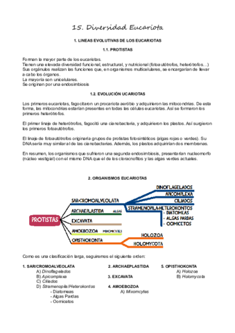 T15Diversidad-Eucariota.pdf