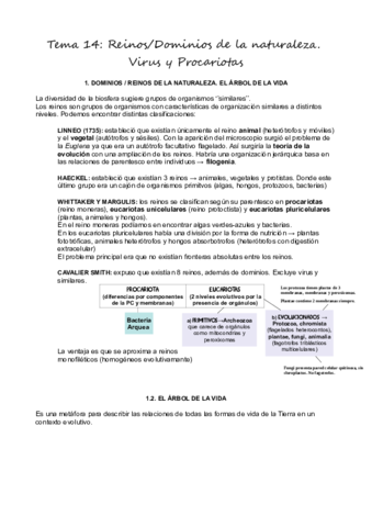 T14Reinos-Virus-y-Procariotas.pdf