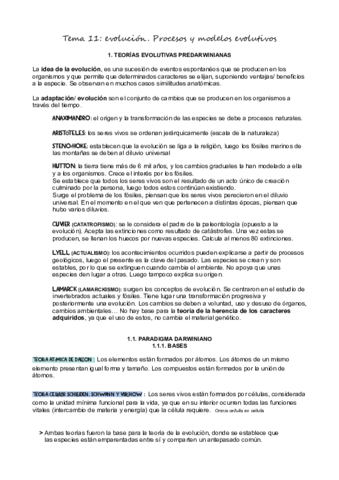 T11Evolucion.pdf