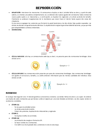FREPRODUCCION.pdf