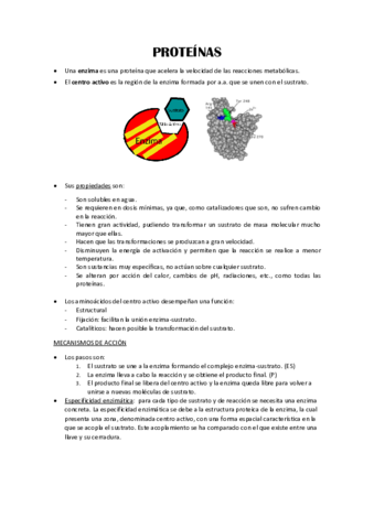 ENZIMAS.pdf