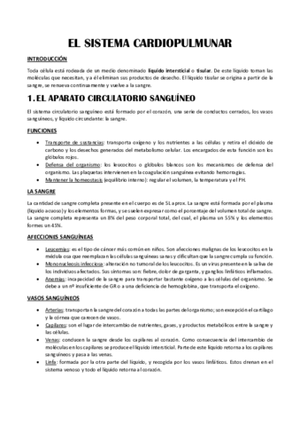 ANAT-T3.pdf