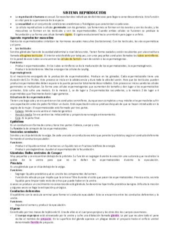 ANAT-T5.pdf