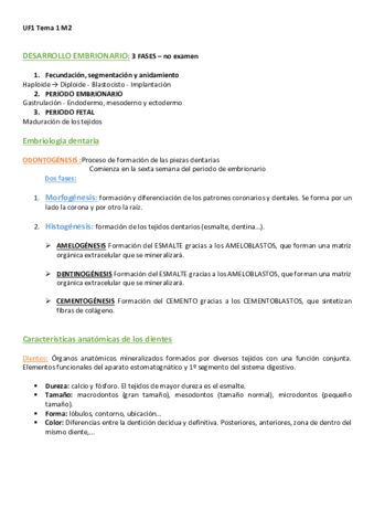 Resumen-Emma-MP2-1.pdf