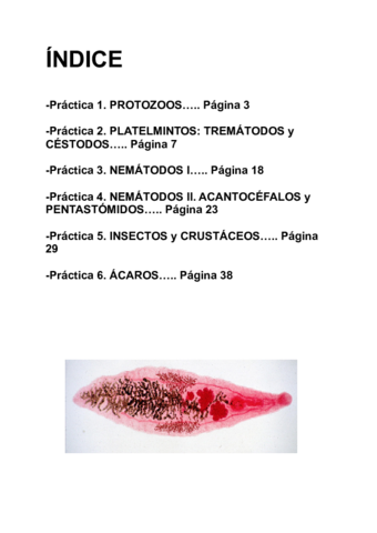 memoria-parasitologia-definitiva-2-47.pdf