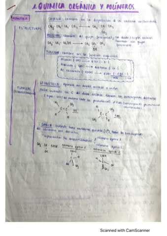 Quimica-Organica-y-Polimeros.pdf