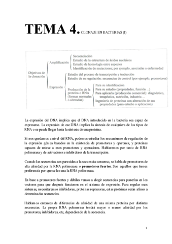 Copia-de-Tema-4.pdf