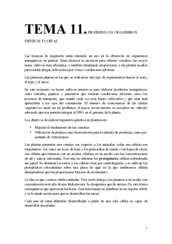 Copia-de-Tema-11.pdf