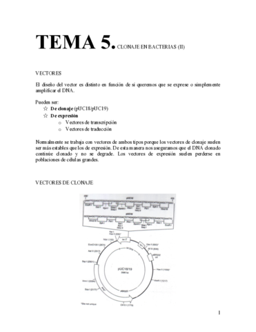 Copia-de-Tema-5.pdf