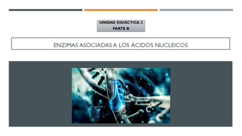 UD2-ENZIMAS-ASOCIADAS-A-AANN-PARTE-B-PP.pdf