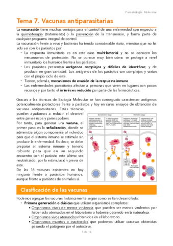 TEMA-7.pdf