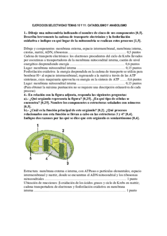 10.pdf