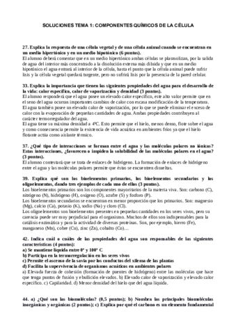 Soluciones-tema-1-1.pdf