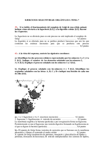 Soluciones-tema-7.pdf