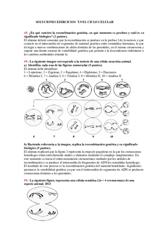 Soluciones-Tema-9.pdf
