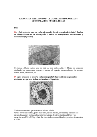 Soluciones-tema-8-ORGANULOSII.pdf