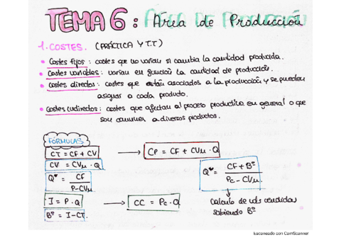 TEMA-6-AREA-DE-PRODUCCION.pdf