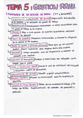 TEMA-5-GESTION-DE-LOS-RECURSOS-HUMANOS.pdf