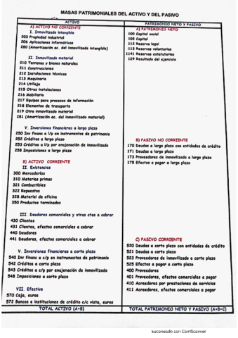 MASAS-PATRIMONIALES.pdf