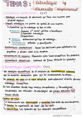 TEMA-3-ESTRATEGIA-Y-DESARROLLO-EMPRESARIAL.pdf