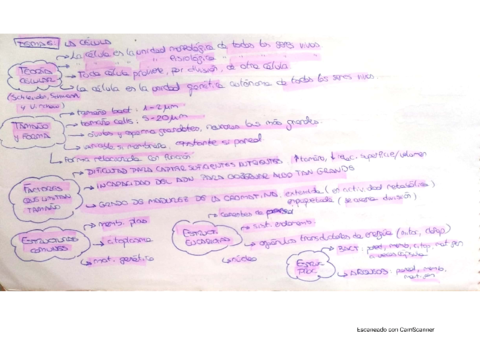 apuntes-temas-6-8-la-celula-EVAU.pdf