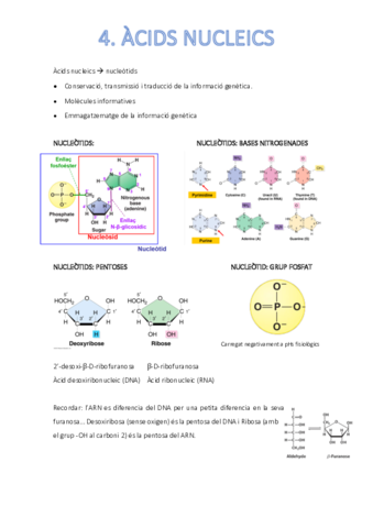 acids-nucleics.pdf