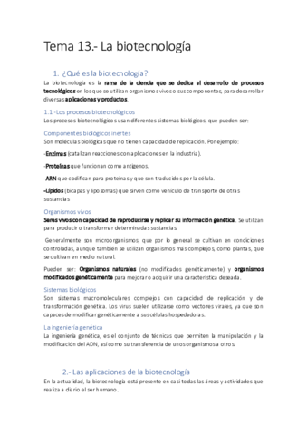 Resumenes-tema-13.pdf
